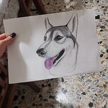 Il mio progetto del corso: Ritratto di animali da compagnia con matite colorate. Projekt z dziedziny Trad, c, jna ilustracja, Ilustracja naturalist i czna użytkownika Debora Verdini - 13.09.2023