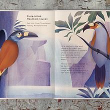 My project for course: Wildlife Illustration for Children's Books. Un progetto di Illustrazione vettoriale, Illustrazione digitale e Illustrazione infantile di Sabrin Deirani - 14.09.2023