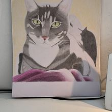 Mijn project van de cursus: Realistische dierenafbeeldingen in grafietpotlood. Un progetto di Belle arti, Disegno a matita, Disegno, Disegno realistico e Illustrazione naturalistica di Chantal - 15.09.2023
