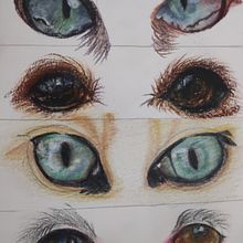 Meu projeto do curso: Retratos de pets a lápis de cor . % GISELE VIEIRA tarafından hazırlanan Geleneksel illüstras, on, Doğalcı İllüstras, Ve on projesi - 09.15.2023