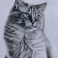Il mio progetto del corso: Ritratto di animali da compagnia con matite colorate. Traditional illustration, and Naturalistic Illustration project by Serena Maggi - 09.16.2023