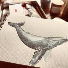 Mój projekt z kursu: Naturalistyczne techniki ilustracji: wieloryby w akwareli. Un progetto di Belle arti, Pittura, Pittura ad acquerello e Illustrazione naturalistica di Anna Lisniak - 16.09.2023