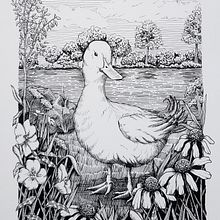 My project for course: Dip Pen and Ink Illustration: Capturing The Natural World. Sketching, Drawing, Artistic Drawing, Sketchbook, Ink Illustration, and Naturalistic Illustration project by Stacy Burch - 09.17.2023