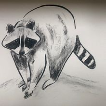 Mon projet du cours : Illustration d'animaux au fusain et à l'encre. Fine Arts, Drawing, Ink Illustration, and Naturalistic Illustration project by Ambre Martel - 09.17.2023