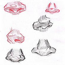 PP-Ilustraciones de anatomía. Traditional illustration project by yaiza alcalá mateo - 09.17.2023