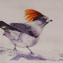 Mi proyecto del curso: Acuarela naturalista con expresión y personalidad Ein Projekt aus dem Bereich Traditionelle Illustration, Aquarellmalerei und Naturalistische Illustration von Daniela Torres - 17.09.2023