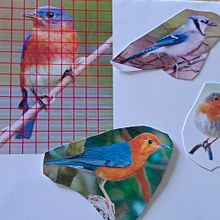 My project for course: Artistic Watercolor Techniques for Illustrating Birds. Projekt z dziedziny Malowanie akwarelą, Trad, c, jna ilustracja, R, sunek realist, czn, Ilustracja naturalist i czna użytkownika lamportm284 - 16.09.2023
