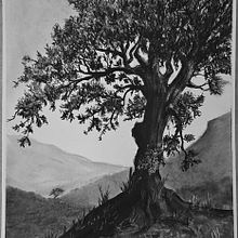 DESERT SPRINGS ART BY JILL CHERRICK. Fine Arts project by JILL CHERRICK - 09.18.2023