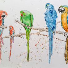 Mi proyecto del curso: Acuarela artística para ilustración de aves. Traditional illustration, Watercolor Painting, Realistic Drawing, and Naturalistic Illustration project by Jeremy Baty - 09.21.2023