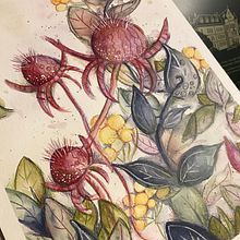 Mein Abschlussprojekt für den Kurs: Blumenkompositionen mit Aquarell: Verbinde dich mit der Natur. Traditional illustration, Painting, Watercolor Painting, and Botanical Illustration project by karinhoffmeister - 09.22.2023