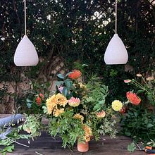 Mi proyecto del curso: Diseño y creación de composiciones florales Ein Projekt aus dem Bereich Innendesign, L, schaftsbau, Dekoration von Innenräumen, DIY und Blumen- und Pflanzendesign von Neus Pastor sanchez - 22.09.2023