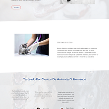 Diseño de Sitio Web Puppies Lovers. Web Design project by Estela Tramontini - 09.22.2023