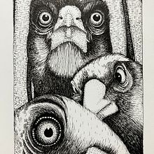 My project for course: Realistic Illustration of Birds with Imaginative Elements. Un progetto di Disegno a matita, Disegno, Illustrazione con inchiostro e Illustrazione naturalistica di Wendy Annal - 23.09.2023