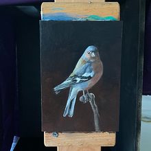 My project for course: Classical Oil Painting for Naturalist Bird Portraiture. Fine Arts, Painting, Oil Painting, and Naturalistic Illustration project by ableitung_misc - 09.24.2023