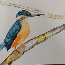 Mein Abschlussprojekt für den Kurs: Naturillustration: Farbige und monochrome Aquarelle. Traditional illustration, Fine Arts, Painting, Drawing, Watercolor Painting, Botanical Illustration, and Naturalistic Illustration project by a. kai. - 09.24.2023