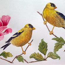 Mi proyecto del curso: Acuarela artística para ilustración de aves. Ilustração tradicional, Pintura em aquarela, Desenho realista e Ilustração naturalista projeto de Dani Gall Zder - 24.09.2023