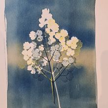 Cyanotype and mono printing . Un proyecto de Artesanía de Susie Statham - 24.09.2023