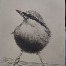 Passarinho. Un progetto di Illustrazione tradizionale di Cristina Lima - 24.09.2023