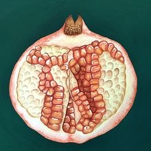 My project for course: Botanical Watercolor: Illustrating Art and Science. Un proyecto de Ilustración tradicional, Bellas Artes, Pintura, Dibujo, Pintura a la acuarela e Ilustración botánica de Annika - 25.09.2023