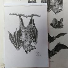 Proyecto Animales . Un progetto di Illustrazione tradizionale, 3D, Artigianato, Pittura e Disegno di Marylin Cespedes Cortes - 25.09.2023