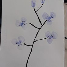 My project for course: Illustrating Nature: A Creative Exploration. Projekt z dziedziny Trad, c, jna ilustracja,  Malarstwo,  R, sunek, Malowanie akwarelą,  R, sunek atramentem, Ilustracja naturalist i czna użytkownika Nilda Trejo Contreras - 22.09.2023