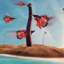 La danza de los peces. Design, Photograph, Accessor, and Design project by Antonio Castillo - 09.26.2023