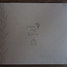 Il mio progetto del corso: Diario naturalista ad acquerello. Un proyecto de Ilustración tradicional, Pintura a la acuarela, Ilustración botánica, Sketchbook e Ilustración naturalista				 de Olimpia Gentile - 27.09.2023