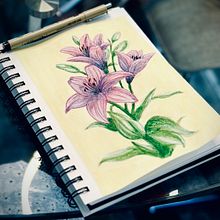 My project for course: Illustrating Nature with Watercolor and Pen . % Mika Omokoko tarafından hazırlanan Geleneksel illüstras, on, Güzel sanatlar, Tablo, Çizim, Sulubo, a Resim, Botanik İllüstras, Ve on projesi - 09.27.2023