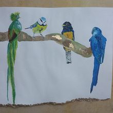 Mi proyecto del curso: Acuarela artística para ilustración de aves. Projekt z dziedziny Trad, c, jna ilustracja, Malowanie akwarelą, R, sunek realist, czn, Ilustracja naturalist i czna użytkownika Alejandra Rivera Silva - 28.08.2023