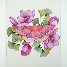 My project for course: Naturalist Illustrations with Watercolors: Drawing and Composition. Traditional illustration, Drawing, Watercolor Painting, and Naturalistic Illustration project by Diyana - 09.28.2023