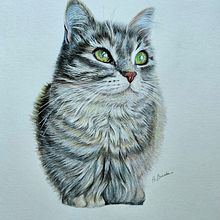 Mi proyecto del curso: Retratos de Mascotas en Lápices de Colores. Projekt z dziedziny Trad, c, jna ilustracja, Ilustracja naturalist i czna użytkownika Audry Briceño - 25.09.2023