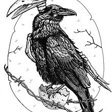 My project for course: Realistic Illustration of Birds with Imaginative Elements. Projekt z dziedziny R, sunek ołówkiem,  R, sunek,  R, sunek atramentem, Ilustracja naturalist i czna użytkownika Catherine Elliott - 24.09.2023
