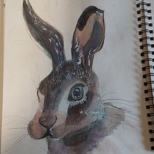 My project for course: Experimental Watercolor Techniques for Beginners. Projekt z dziedziny Tradycyjna ilustracja,  Sztuki piękne, Malowanie akwarelą i Ilustracja naturalistyczna użytkownika cfdowney99 - 29.09.2023