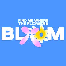 Find me where the flowers bloom - Pattern design for homeware products. Graphic Design, Product Design, Pattern Design, and Digital Illustration project by Matias Giamportone - 09.29.2023