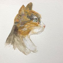 My project for course: Expressive Animal Portraits in Watercolor. Projekt z dziedziny Trad, c, jna ilustracja, Malowanie akwarelą, R, sunek realist, czn, Ilustracja naturalist i czna użytkownika Karen Steed - 22.09.2023