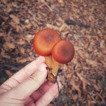 "Wake me up when september ends" Ein Projekt aus dem Bereich Fotoretuschierung, Smartphonefotografie, Instagram, Fotografie für Instagram, Farbausbesserung und Farbenlehre von Martina Elisabetta Pesce - 01.10.2023