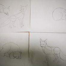 Mi proyecto del curso: Dibujo a lápiz de animales realistas para cuentos. Character Design, Pencil Drawing, Drawing, and Children's Illustration project by trisha_autumn - 10.03.2023