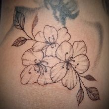 Il mio progetto del corso: Tatuaggio fine line: la leggerezza delle linee. Traditional illustration, Drawing, and Tattoo Design project by Sonia - 10.03.2023