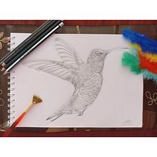 Mi proyecto del curso: Dibujo naturalista de un colibrí con lápiz de grafito . Projekt z dziedziny Trad, c, jna ilustracja, R, sunek ołówkiem,  R, sunek, Ilustracja naturalist i czna użytkownika Stephanie Del Aguila Cadenas - 05.10.2023