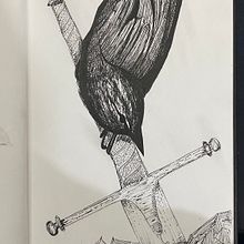 Mi proyecto del curso: Ilustración realista de pájaros con elementos creativos. Pencil Drawing, Drawing, Ink Illustration, and Naturalistic Illustration project by Joaquín Góngora Pedrero - 09.29.2023