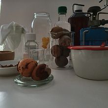 Mi proyecto del curso: Biomateriales: creación de materiales con descartes orgánicos. Projekt z dziedziny Craft i DIY użytkownika Cecilia Kaiser - 04.10.2023