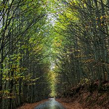 Mi proyecto del curso: Fotografía para principiantes: descubre tu cámara digital Ein Projekt aus dem Bereich Fotografie, Digitalfotografie und Fotografische Komposition von Toñi Muñoz - 04.10.2023