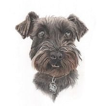 Retrato ilustrado de Vader. Traditional illustration, Realistic Drawing, Portrait Drawing, and Colored Pencil Drawing project by Sofía Soto - 10.03.2023