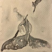 My project for course: Naturalist Illustration Techniques: Whales in Watercolor. Projekt z dziedziny  Sztuki piękne,  Malarstwo, Malowanie akwarelą, Ilustracja naturalist i czna użytkownika Susanne Taudte - 06.10.2023