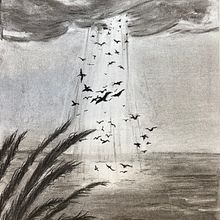 TEG dibujo a carbonzillo. Traditional illustration project by gabriela parra - 10.06.2023