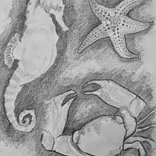 Dibuix Artístic_Esbossos animals. Un progetto di Disegno a matita di kastaanya - 05.10.2023