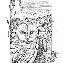 Mi proyecto del curso: Ilustración con tinta y plumilla: captura el mundo natural. Sketching, Drawing, Artistic Drawing, Sketchbook, Ink Illustration, and Naturalistic Illustration project by Joaquín Góngora Pedrero - 10.01.2023