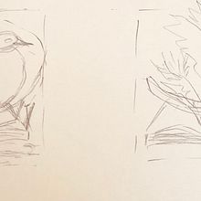 Ricardo Ales course of birds in pen. Projekt z dziedziny  R, sunek, Trad, c, jna ilustracja,  R i sunek atramentem użytkownika Rialette Heyneke - 08.10.2023
