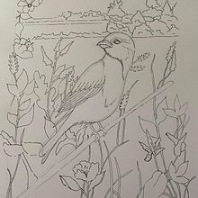 Mijn project van de cursus: Illustratie met een kroontjespen en inkt: leg de natuur vast. Projekt z dziedziny Sketching,  R, sunek,  R, sunek art, st, czn, Sketchbook,  R, sunek atramentem, Ilustracja naturalist i czna użytkownika 5m67pw9gpn - 08.10.2023