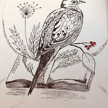 My project for course: Realistic Illustration of Birds with Imaginative Elements. Projekt z dziedziny R, sunek ołówkiem,  R, sunek,  R, sunek atramentem, Ilustracja naturalist i czna użytkownika Rialette Heyneke - 08.10.2023